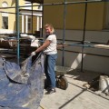 Photo 05
